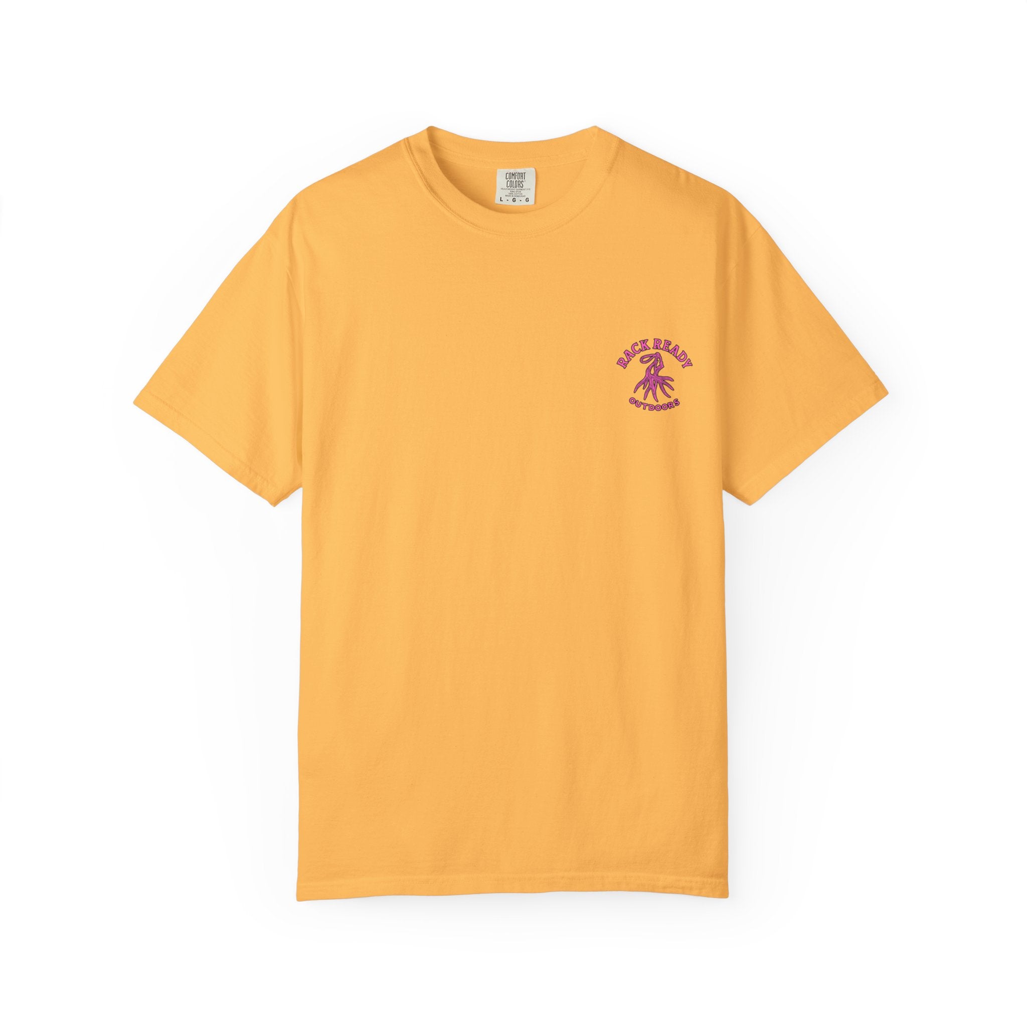 Send It, Sister Womens Tee